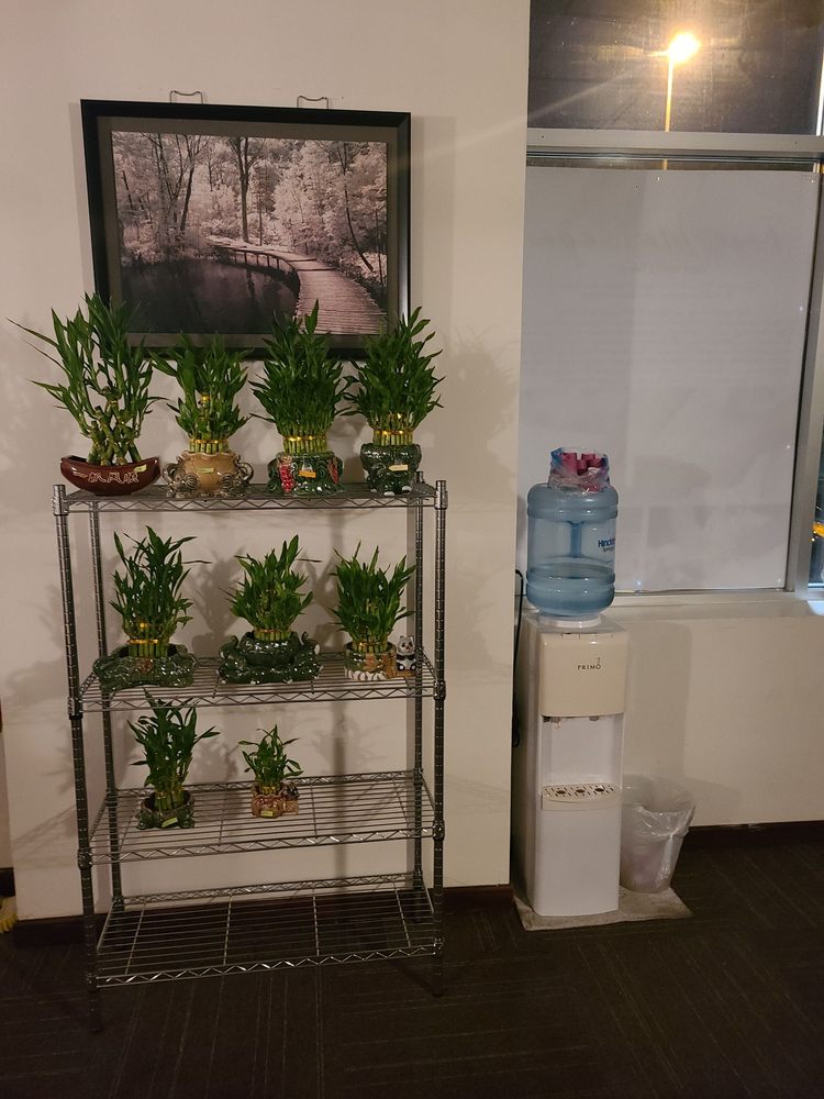 NINE DRAGONS FOOT FINESSE Updated October 2024 59 Reviews 10347