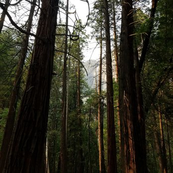 Lower Yosemite Falls - Parks Near Me Lower Yosemite Falls - Parks Near Me