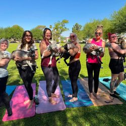 Goat Yoga Las Vegas