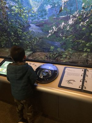 RMSC (Rochester Museum & Science Center) by null
