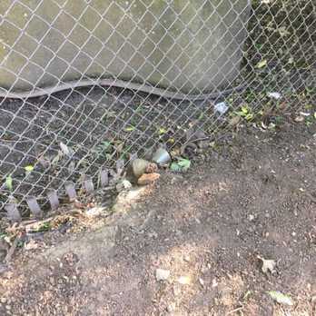 McKenzie's Landscape - Left garbage in many places... - Landscaping Near Me
