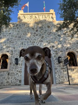 V. Sattui Winery by null