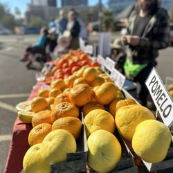 Downtown Phoenix Farmers Market