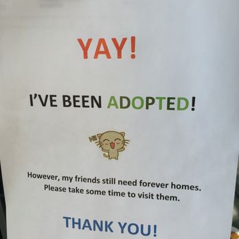 Berkeley Animal Care Services - After a cat has been adopted, a sheet of paper like this is affixed to the room the cat was in on the second floor of BACS. Here was Ichi's. - Animal Shelters Near Me - Berkeley, California Berkeley Animal Care Services - After a cat has been adopted, a sheet of paper like this is affixed to the room the cat was in on the second floor of BACS. Here was Ichi's. - Animal Shelters Near Me - Berkeley, California