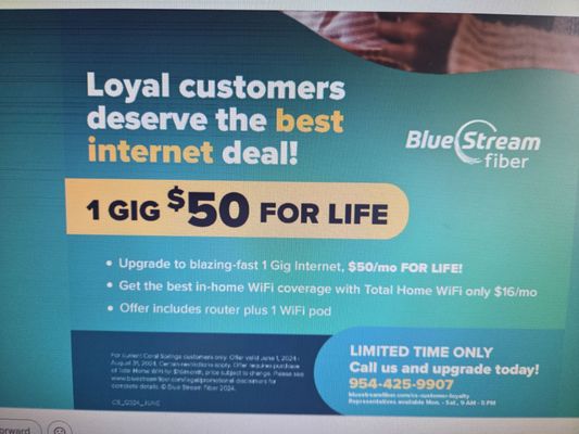 BLUE STREAM FIBER - Updated June 2026 - 56 Photos & 410 Reviews - 12409 ...