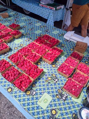 Farmers Market - Wednesday/Saturday Downtown Santa Monica by null