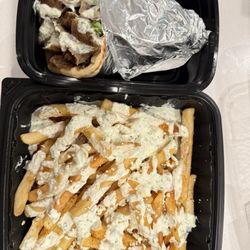 Gyro & Grill - Gyro sandwich and Greek fries