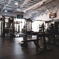 NEWD GYM - Free weight Arsenal Strength equipment