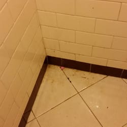 Red Rooster - Piss on the floor