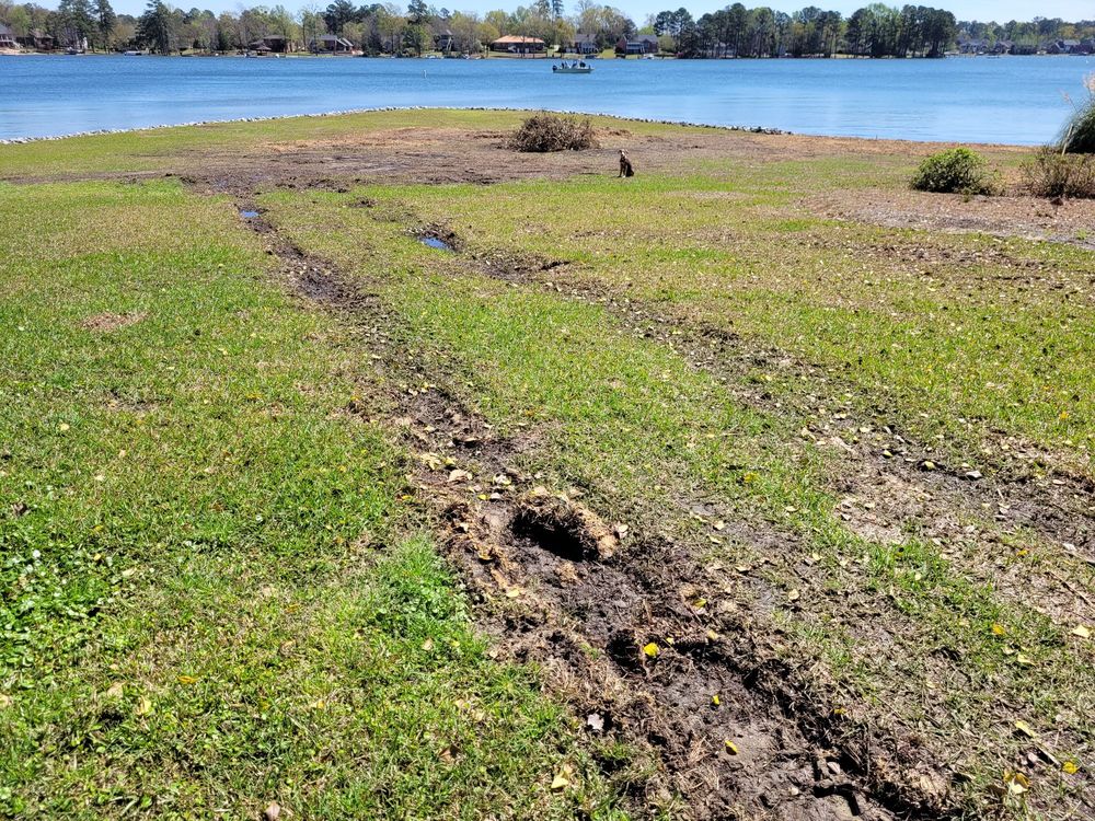 All Good Lawn & Tree Services - tree service in Irmo, SC