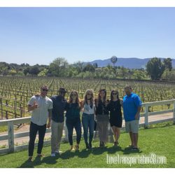 Luxe Transportation - Sun and wine