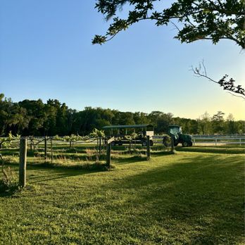 Congaree and Penn - Farms Near Me - Jacksonville, Florida