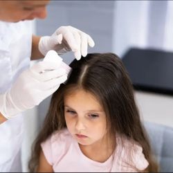 SYRACUSE LICE CLINIC - Technicians at work serving the greater syracuse and central new York area.