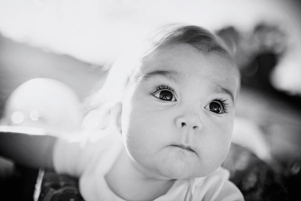 Kim Hayes Photography