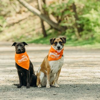 Rox Falls Vet - Veterinarians Near Me - Philadelphia, Pennsylvania Rox Falls Vet - Veterinarians Near Me - Philadelphia, Pennsylvania