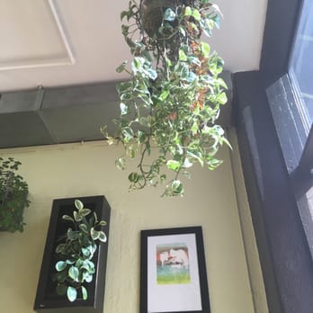 Sunny's - Coffee & Tea Near Me - Denver, Colorado Sunny's - Coffee & Tea Near Me - Denver, Colorado