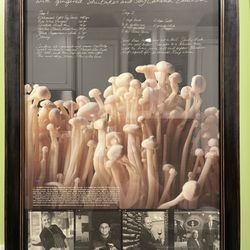 I love this frame as it matches so well with this super huge recipe from a super big magazine.