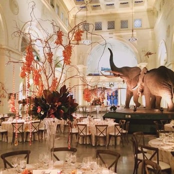 Kehoe Designs - Our wedding at the Field Museum-- thank you Phil!! - Party & Event Planning Near Me - Chicago, Illinois