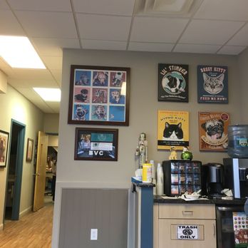 Bensonhurst Veterinary Care - Veterinarians Near Me - Brooklyn, New York Bensonhurst Veterinary Care - Veterinarians Near Me - Brooklyn, New York