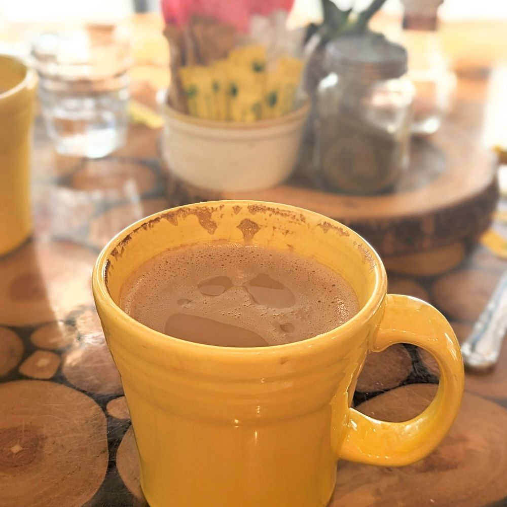 Green Zebra Cafe - Oatmilk latte - Juice Bars & Smoothies Near Me - Sarasota, Florida Green Zebra Cafe - Oatmilk latte - Juice Bars & Smoothies Near Me - Sarasota, Florida