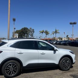 The new car! The new car!