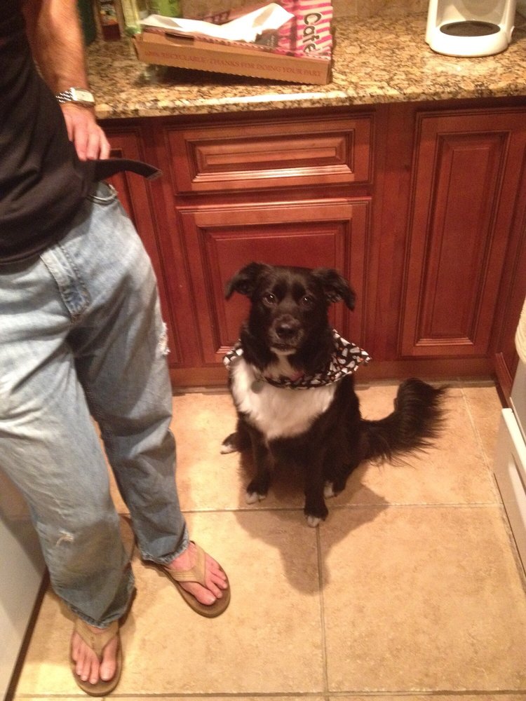 Winter Park Pet Villa