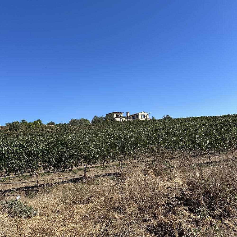 California Ranch Company - Horseback Riding Near Me - Temecula, California