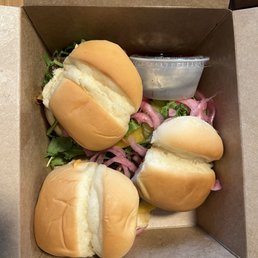 SLIDERS