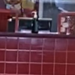 America's Best Wings - Not properly covering nose. Bad service, wings double fried (hard) and warm. excuse wing shortage. disrespectful & yelling