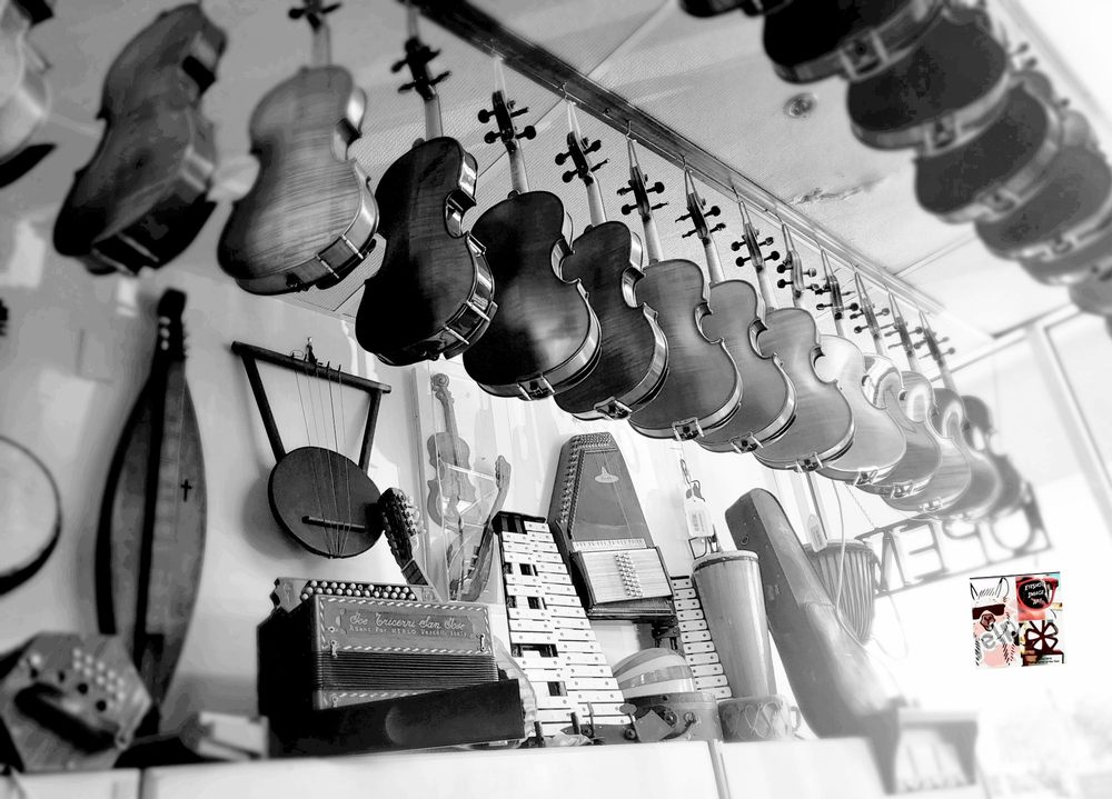 THE VIOLIN SHOP Updated September 2024 23 Photos & 10 Reviews 22