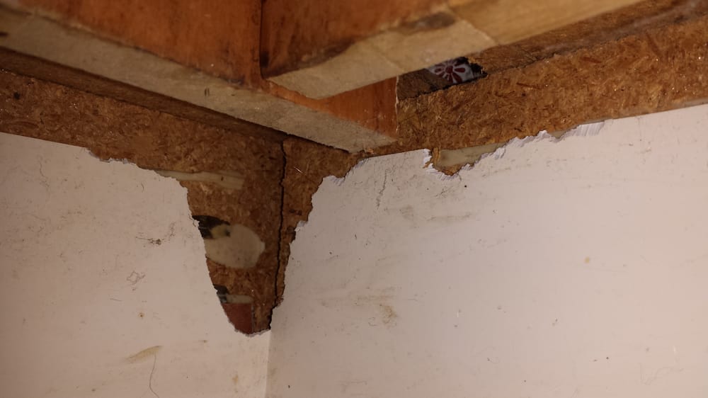 MARVIN GARDENS APARTMENTS Updated October 2024 770 E Cotati Ave