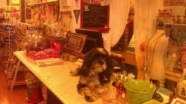 Tiddle E. Winks Vintage 5 & Dime by null