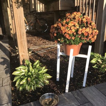 Uptown Coffee Company - In case your furbaby is thirsty too - Coffee & Tea Near Me - Marshfield, Wisconsin Uptown Coffee Company - In case your furbaby is thirsty too - Coffee & Tea Near Me - Marshfield, Wisconsin