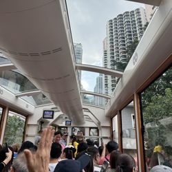 Big Bus Tours - Tram ride