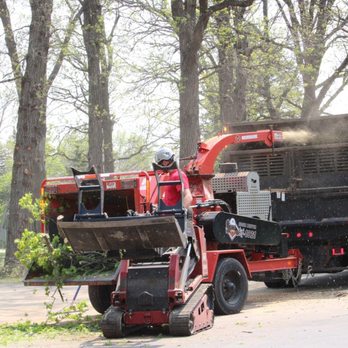 Toenyan Tree Service - Tree Services Near Me - Baxter, Minnesota