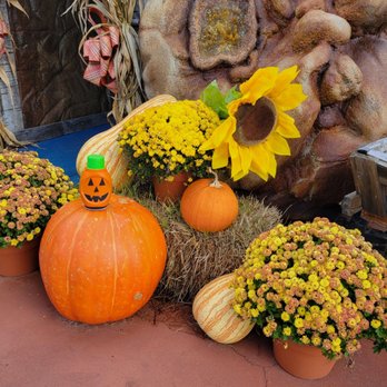 Pigeon Forge Gem Mine - Pumpkin was here - Jewelry Near Me - Pigeon Forge, Tennessee Pigeon Forge Gem Mine - Pumpkin was here - Jewelry Near Me - Pigeon Forge, Tennessee