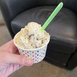Lola's Gelato - Sassy sea turtle