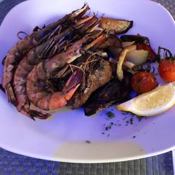 Sunshine - Surf n turf