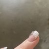 L V Nails gift card