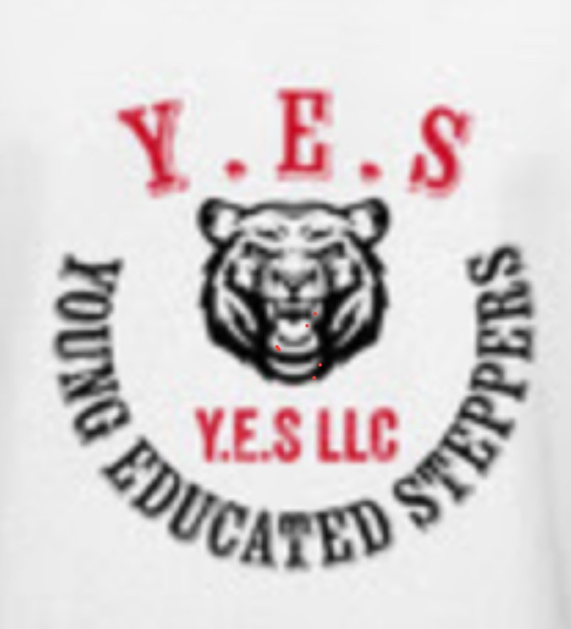 Young Educated Steppers Logo