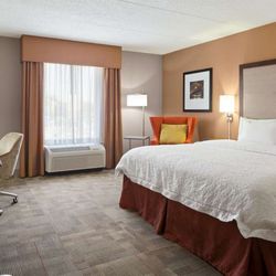 Hampton Inn Pell City - Guest room