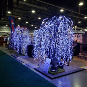 Twinkle Trees - 10 Ft Cool White Willows - Party Equipment Rentals Near Me