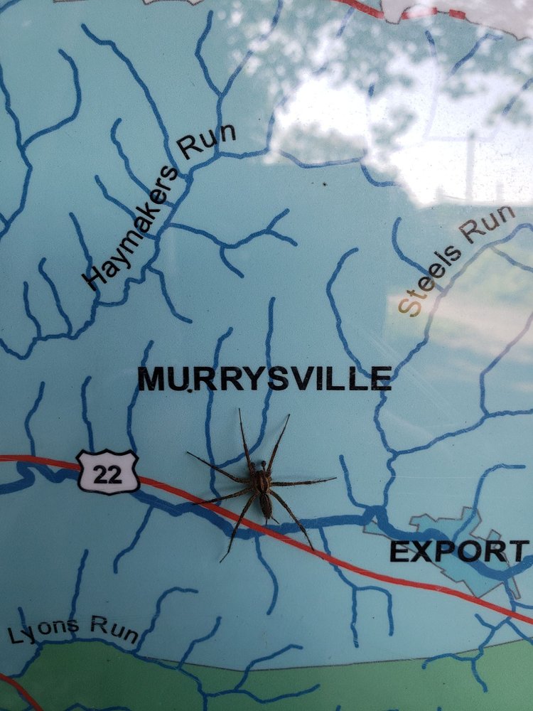 DUFF PARK 45 Photos 4500 School Rd S, Murrysville, Pennsylvania