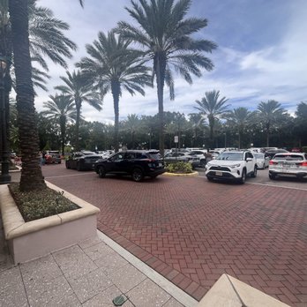 Trader Joe's - Many cars searching for a spot parking lot too small - Grocery Near Me - Orlando, Florida Trader Joe's - Many cars searching for a spot parking lot too small - Grocery Near Me - Orlando, Florida
