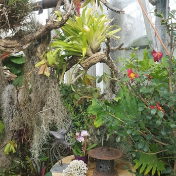 Shelldance Orchid Gardens - Nurseries & Gardening Near Me - Pacifica, California
