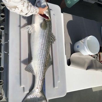 Katherine Charter Fishing - 43 - Fishing Near Me - Chesapeake Beach, Maryland