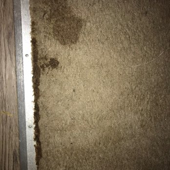The Monroe - Carpet in bedroom doorway where water had run down the hall from the AC unit - Apartments Near Me - New Albany, Indiana