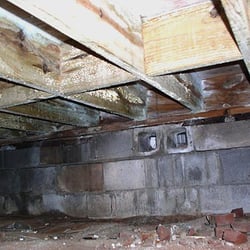 ASAP Mold Remediation