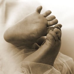 Stork Snapshots - ten fingers and toes -see them now!