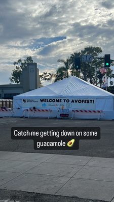 California Avocado Festival by null
